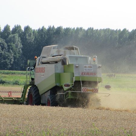B&B Boerderij Wijtvliet Langeweg Екстериор снимка